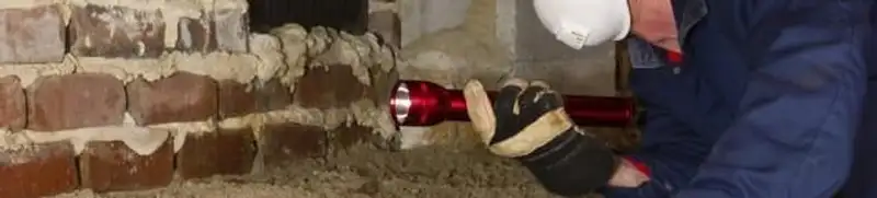 Pest control technician inspecting a crawl space for ant activity and entry points in Boise, ID