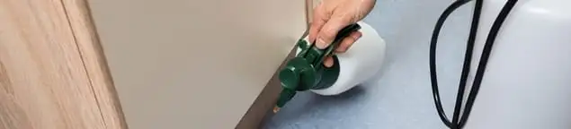 Bed bug exterminator treating baseboards and cracks with targeted spray in Boise, ID