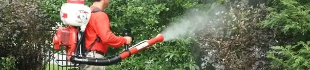 Mosquito control technician fogging shrubs and landscaping for mosquito treatment in Boise, ID