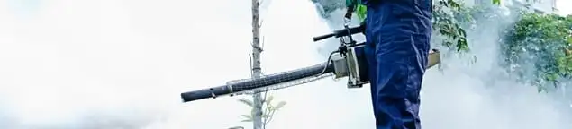 Pest control technician fogging an outdoor area for insect control in Boise, ID