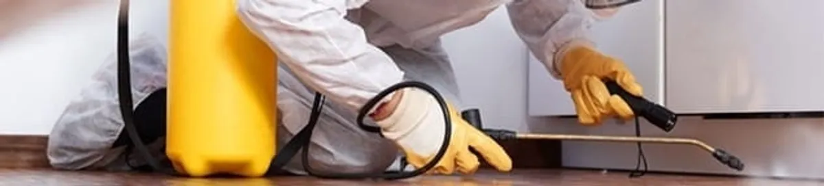 Roach exterminator treating cracks and crevices along kitchen baseboards in Boise, ID