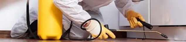 Roach exterminator treating cracks and crevices along kitchen baseboards in Boise, ID
