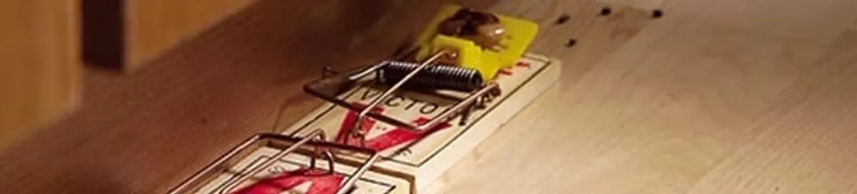 Rodent trap set indoors for rodent control and prevention in Boise, ID